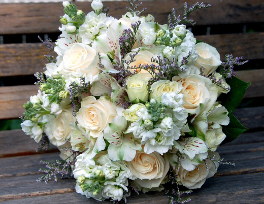 542369 (a): :2000x1546